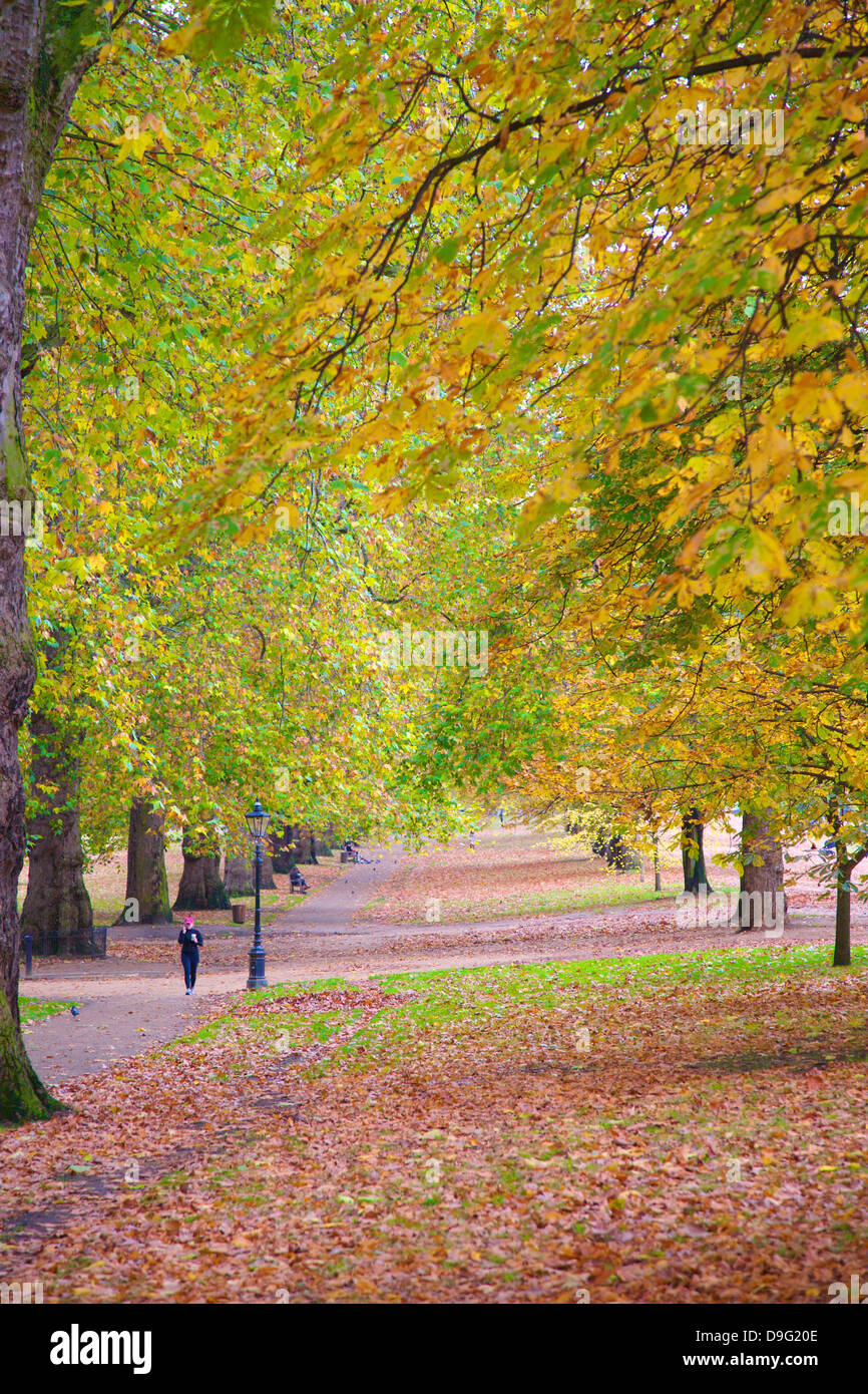 Fuß in eine herbstliche Hyde Park, London, England, UK Stockfoto