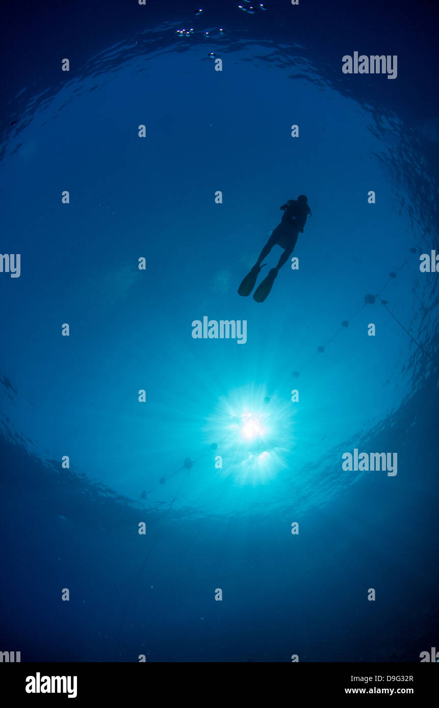 Silhouette von einem Taucher und Sunball Unterwasser, Fischauge anzeigen, Ägypten, Afrika Stockfoto