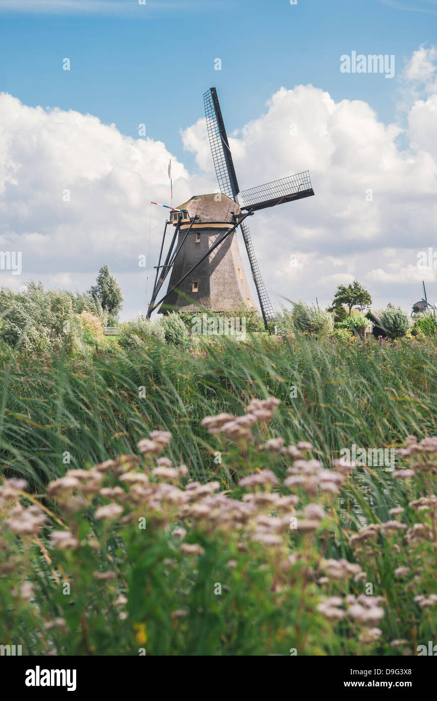 Kanal und Windmühlen Kinderdijk, UNESCO-Weltkulturerbe, Südholland, Niederlande Stockfoto