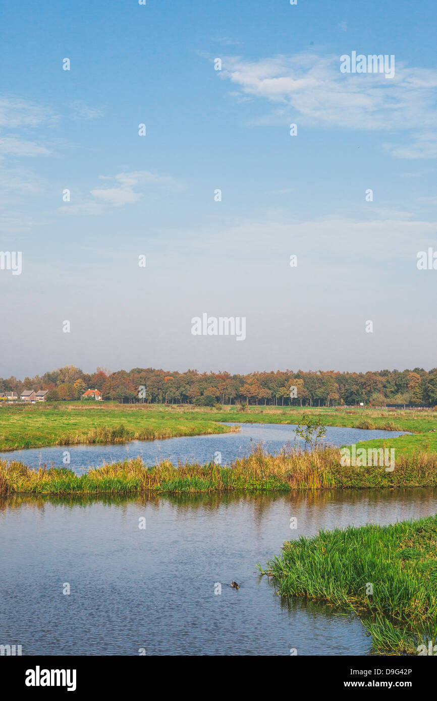 Der Fluss Mark, Breda, Nordbrabant, Niederlande (Holland) Stockfoto