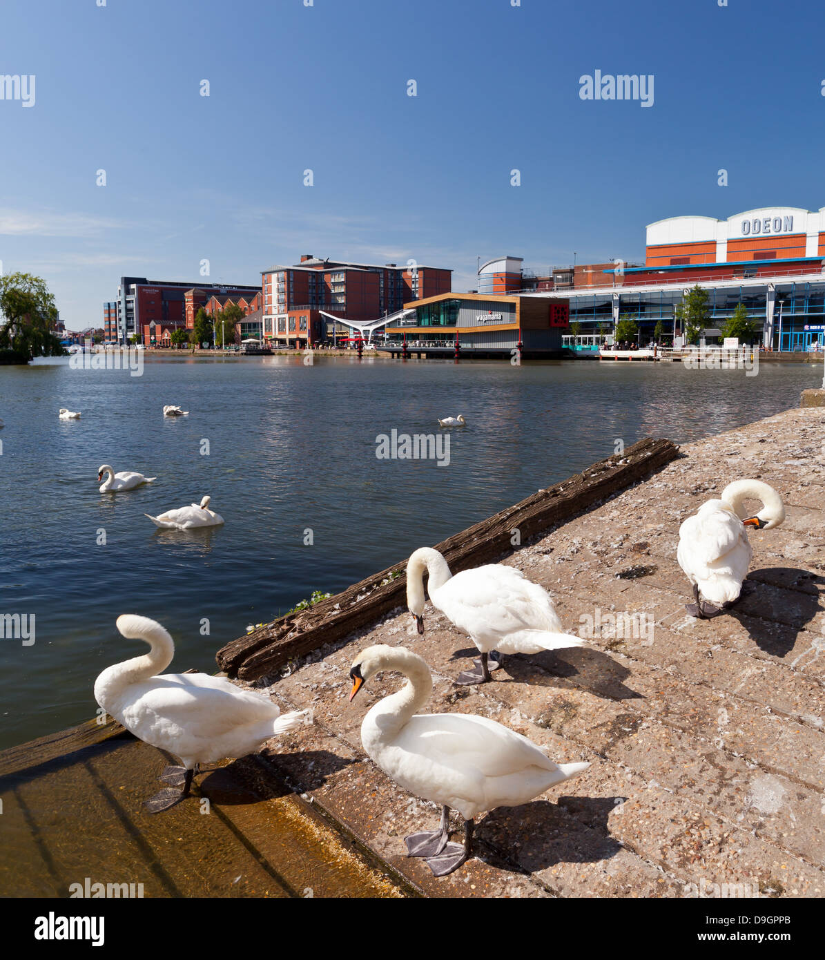 Lincoln - Brayford Pool; Lincoln, Lincolnshire, UK, Europa Stockfoto