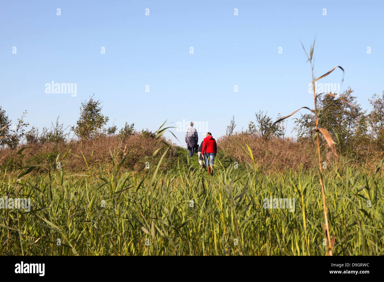 Familie ist Fuß durch ein Naturschutzgebiet in den Niederlanden Stockfoto