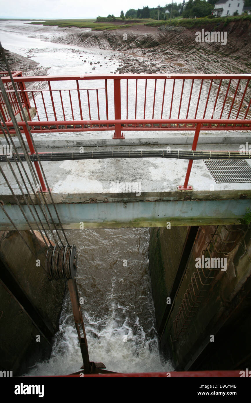 Die Shepody Gezeiten Talsperre in New Brunswick. Stockfoto