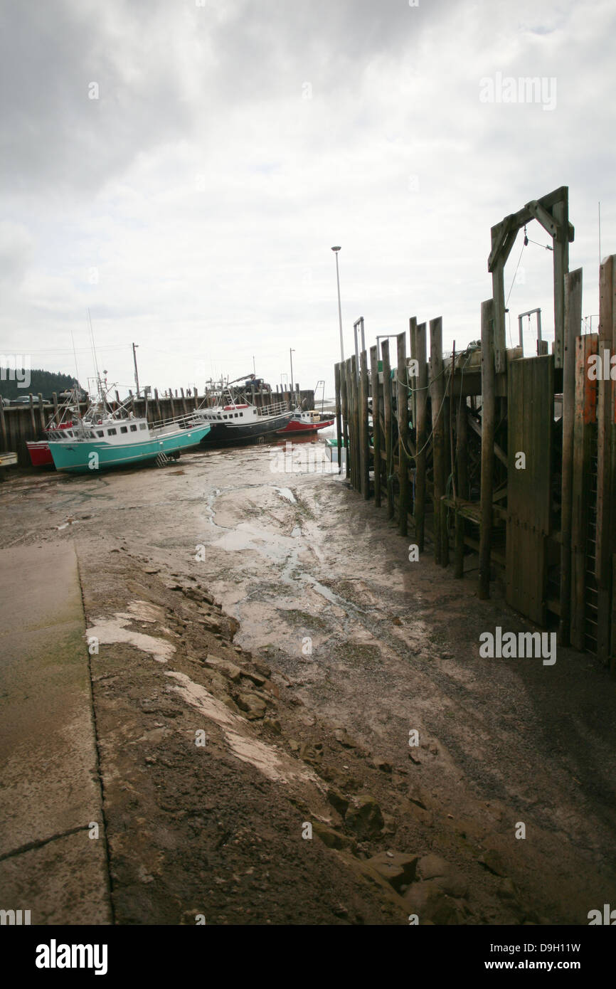 Die Bay Of Fundy bei Ebbe in Alma, Neubraunschweig. Stockfoto