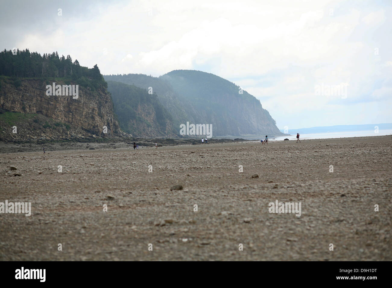 Die Bay Of Fundy bei Ebbe in Alma, Neubraunschweig. Stockfoto