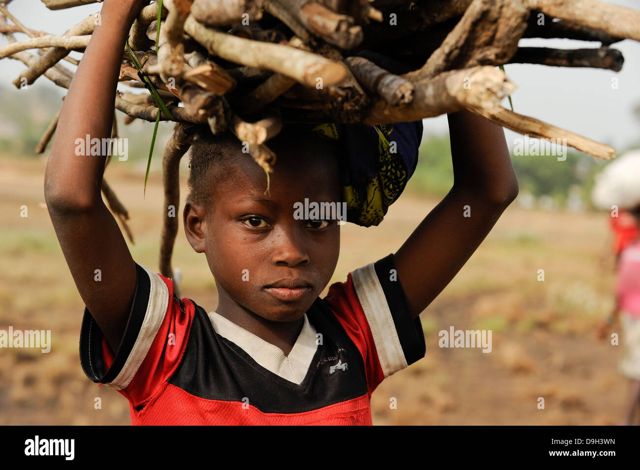 SIERRA LEONE illegal logging von Regenwald im westlichen Bereich Halbinsel Wald, Kinder tragen Brennhölzer auf dem Kopf für Kraftstoff Stockfoto