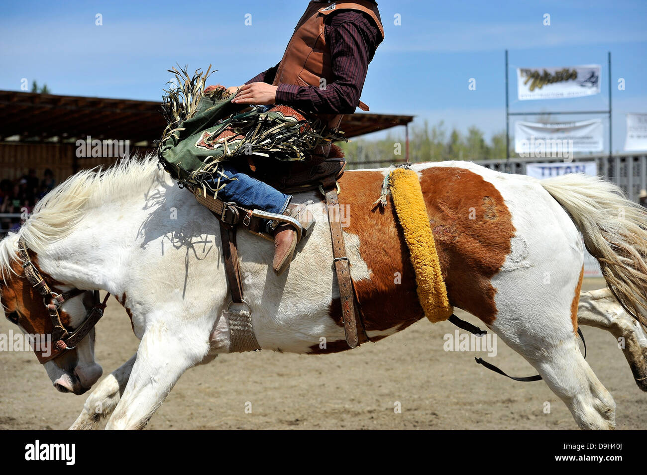 Eine Nahaufnahme von einem Cowboy Reiten Ruckeln Stockfoto