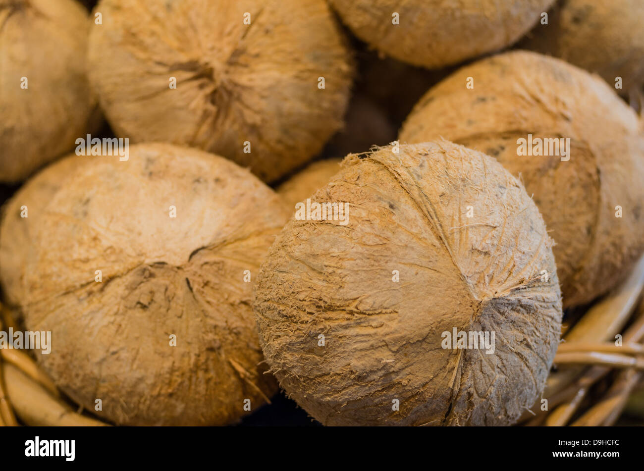 Erntefrische Kokosnüsse auf dem Display auf dem Bauernmarkt Stockfoto