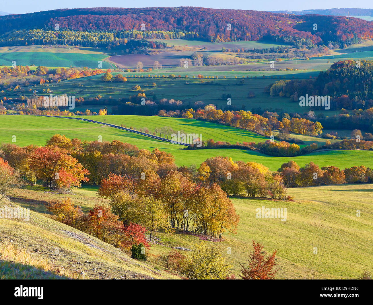 Blick auf das Tal bei Bettenhausen im Herbst, Rhön Berge, Thüringen, Deutschland Stockfoto