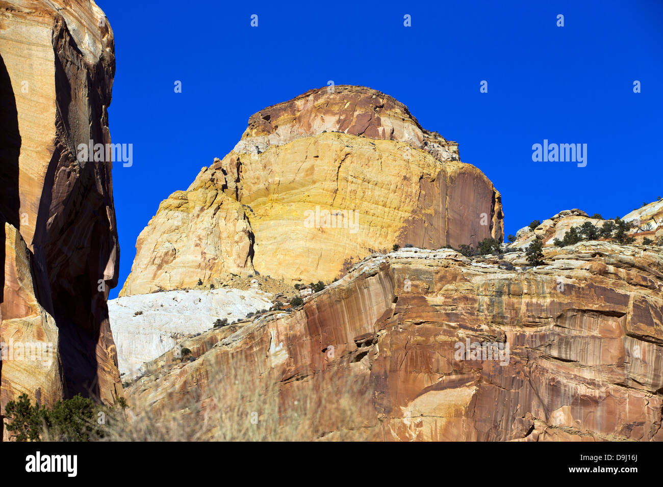 Die goldenen Thron Sandstein Felsformation vom Capitol Gorge, Capitol Reef National Park, Utah, Vereinigte Staaten von Amerika Stockfoto