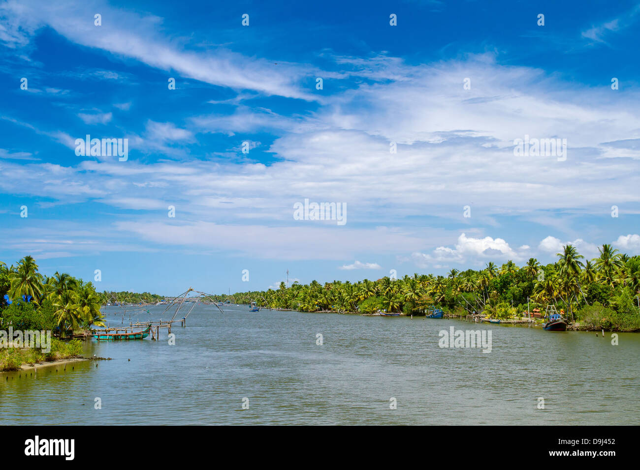 Kokosnuss-Palmen entlang der Backwaters von Kerala, Indien Stockfoto