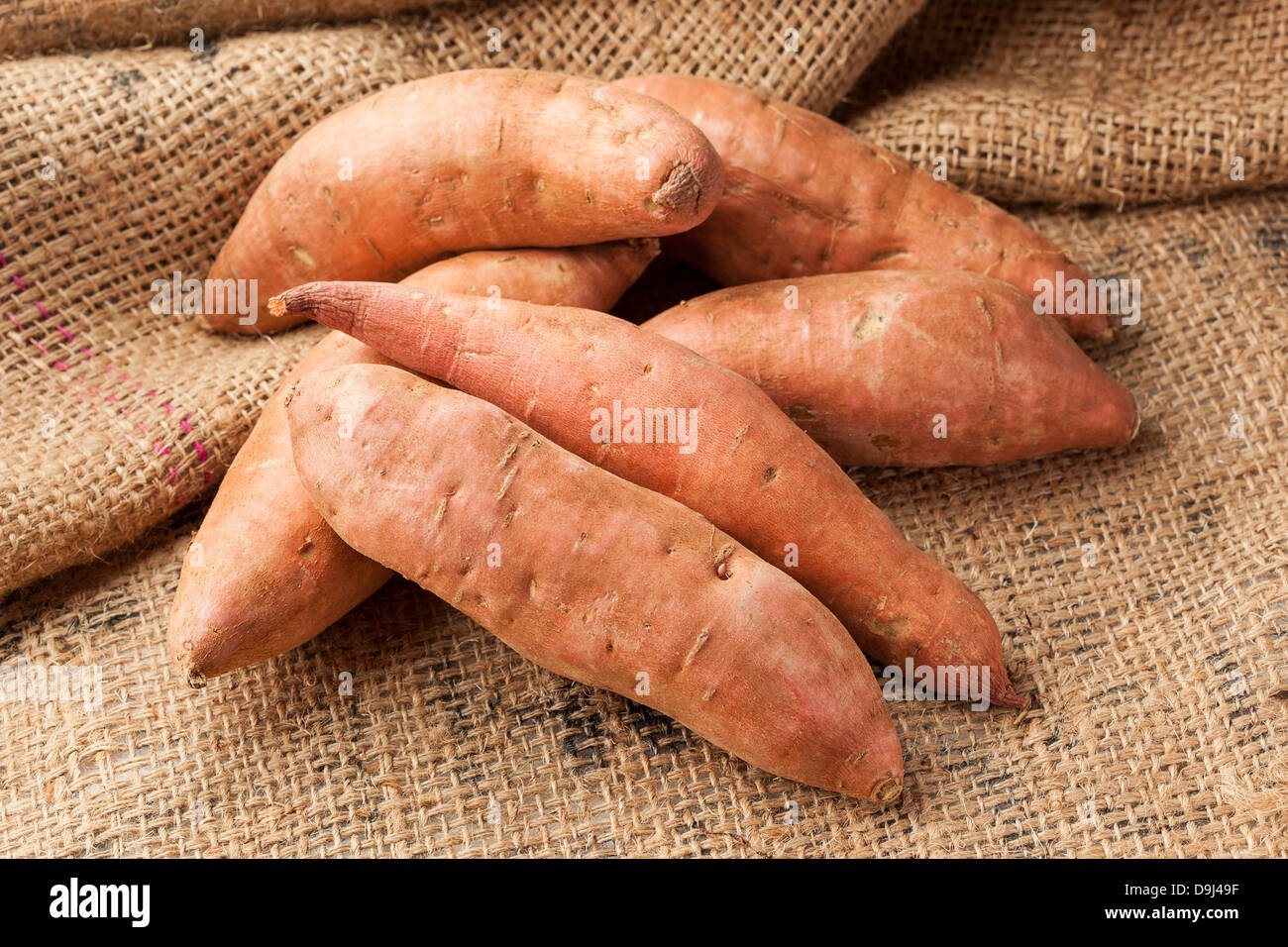 Frische Bio Orange Sweet Potato vor dem Hintergrund Stockfoto