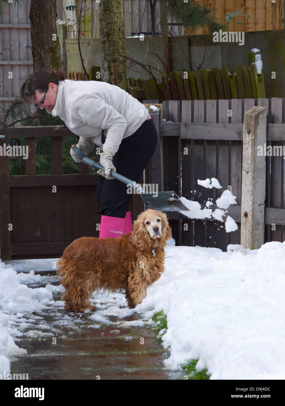 Schneeschaufeln mit rosa Gummistiefel auf Frau und ein Hund im Vordergrund. Stockfoto