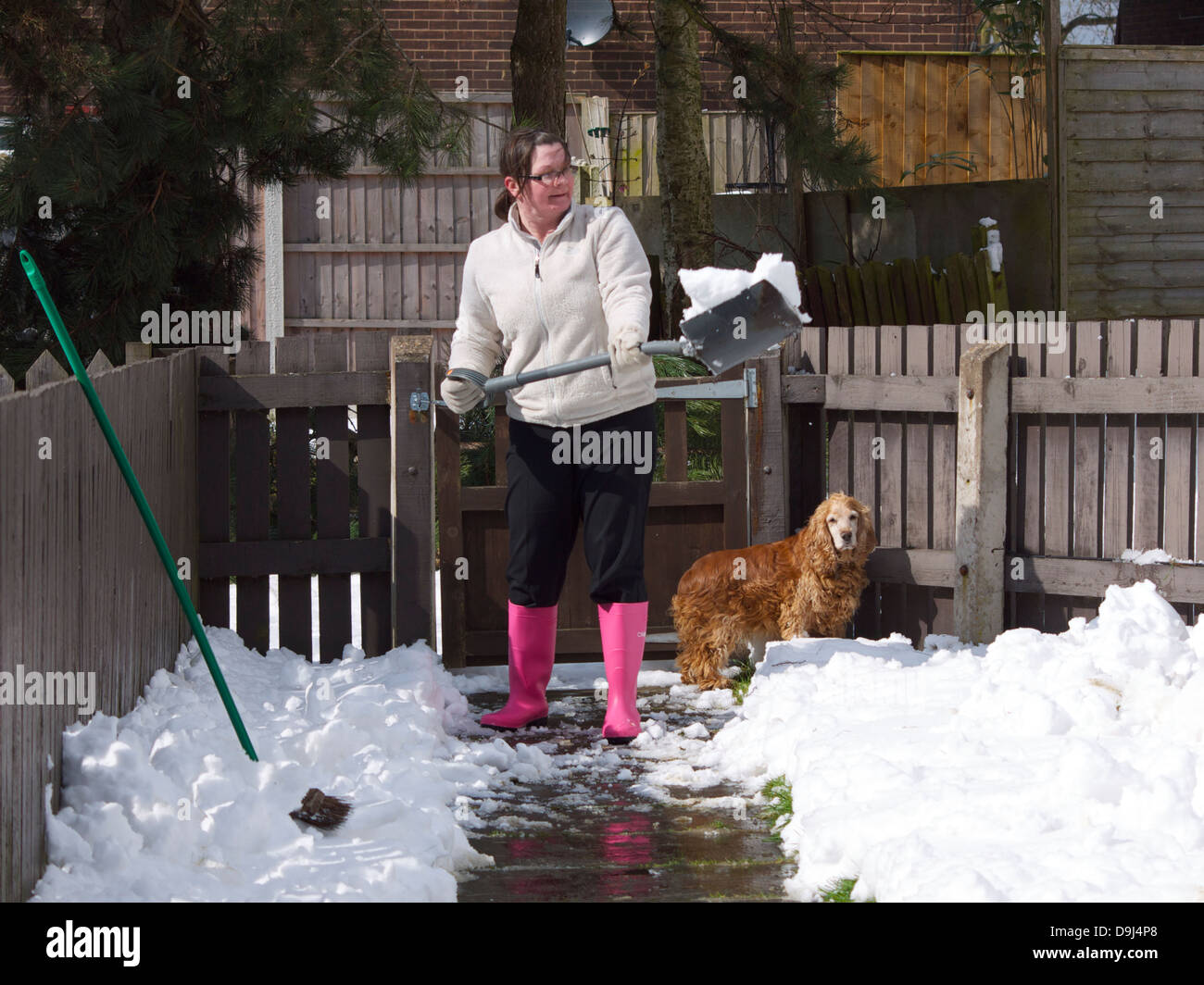 Schneeschaufeln mit rosa Gummistiefel auf Frau und ein Hund im Hintergrund. Stockfoto