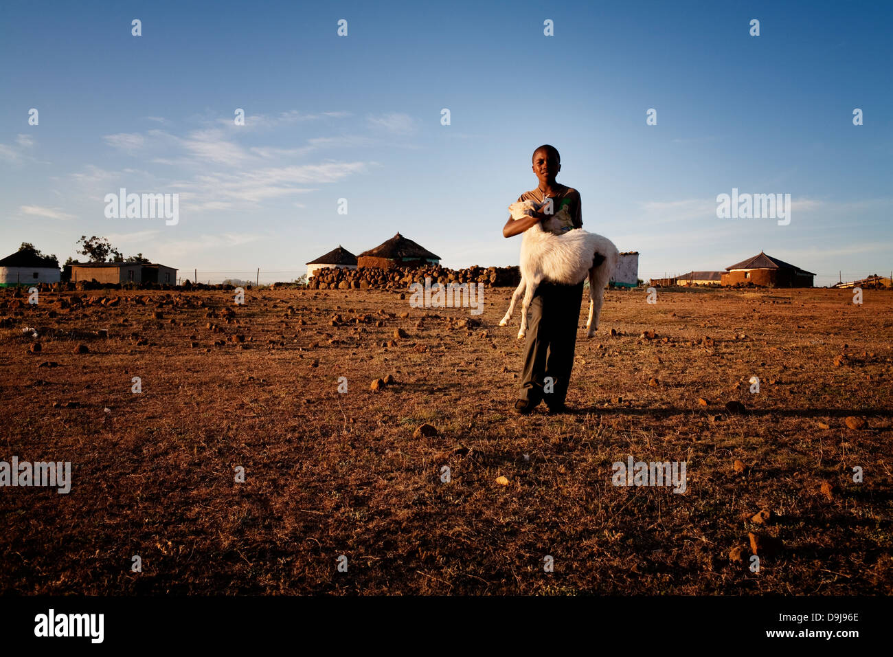 Kleiner Junge trägt seine Ziege zu Hause in ländlichen Transkei, Südafrika Stockfoto