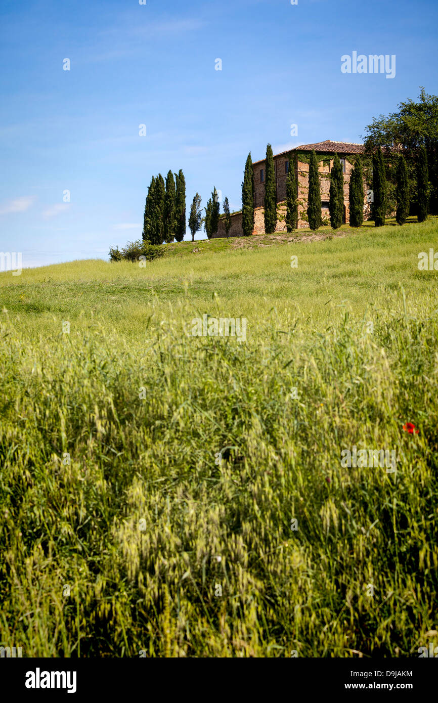 Tuscany Bauernhaus, Italien, Europa Stockfoto