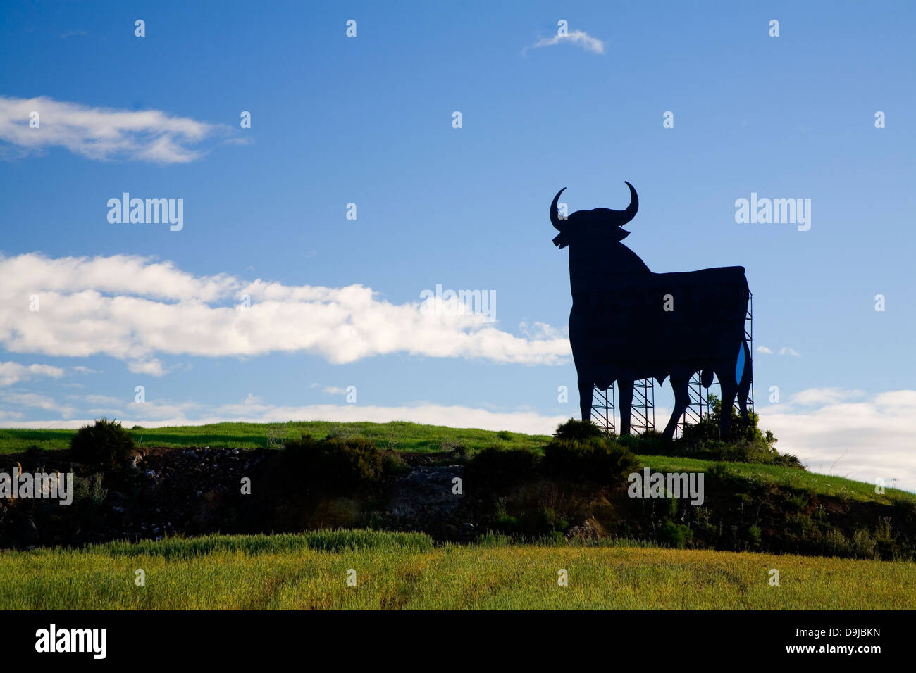 Osborne Stier, Symbol für Spanien. Stockfoto