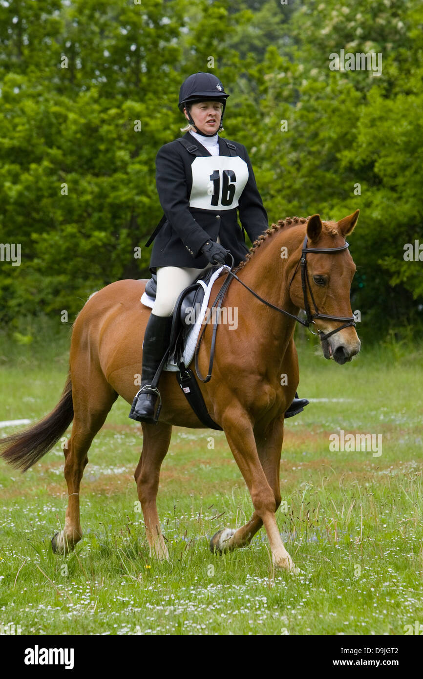 Ein Konkurrent, die Teilnahme an einer ein-Tages-Veranstaltung. Die Veranstaltung besteht aus Dressur-, Spring- und Cross Country. Stockfoto