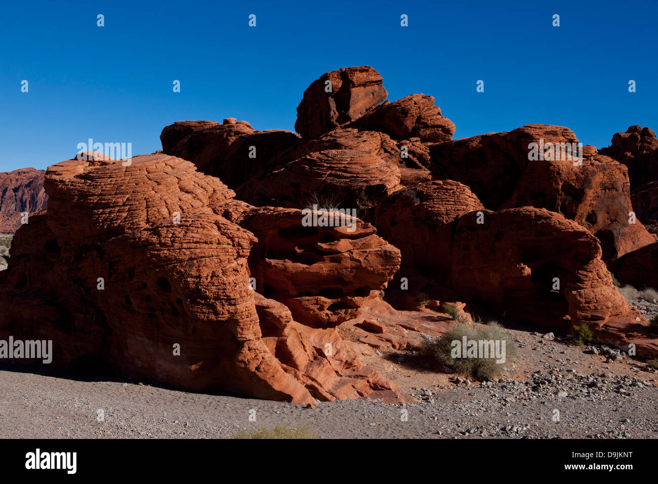 Die Bienenstöcke, roter Sandstein Felsformationen, Tal des Feuers Staatspark, Nevada, Vereinigte Staaten von Amerika Stockfoto