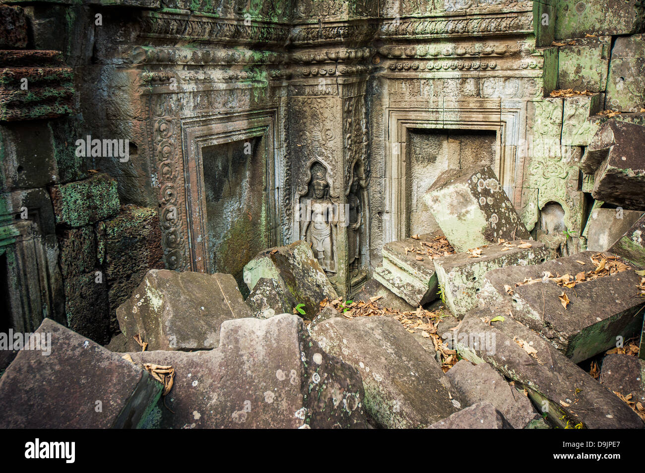Ta Prohm Tempel, Angkor, Kambodscha Stockfoto