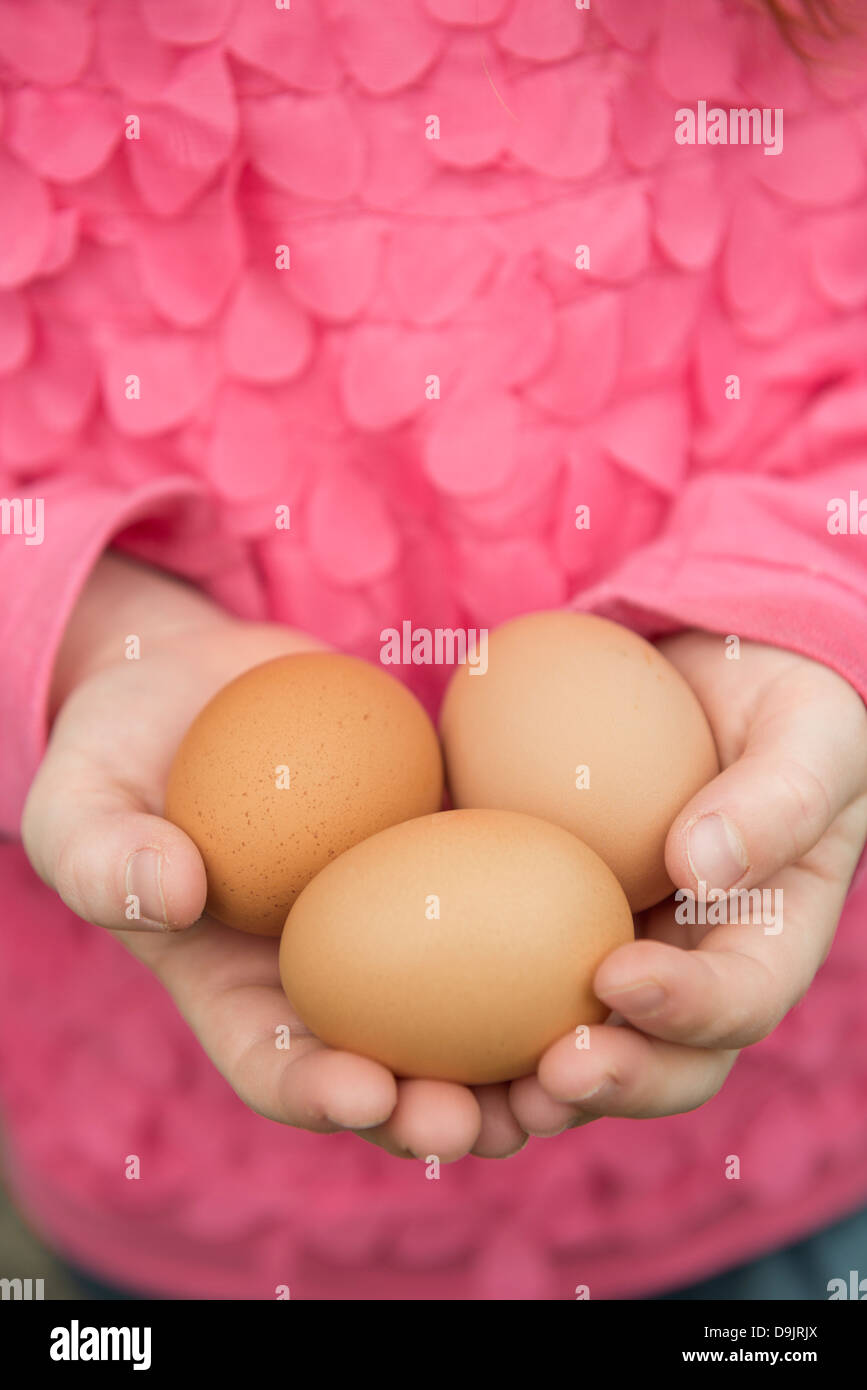 Ein Kind hält eine Handvoll frischen Eiern Stockfoto