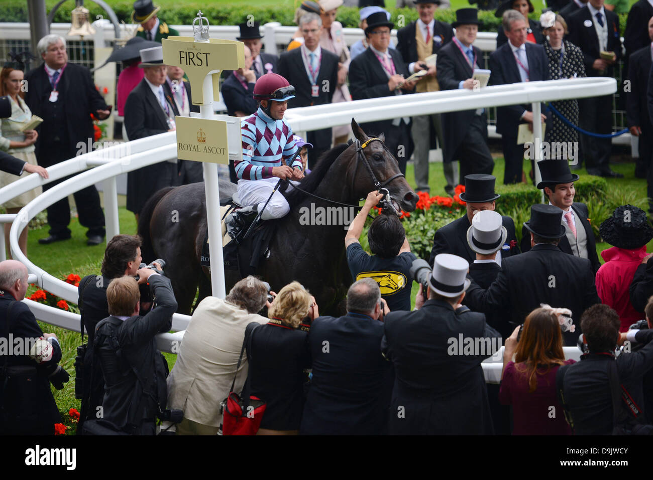 Royal Ascot, Berkshire, UK. 20. Juni 2013.  US-amerikanischer Sprinter Nein Nein nie und Jockey Joel Rosario in der Gewinner-Gehäuse nach Erfolg in der Norfolk-Einsätze am Ladies Day. Bildnachweis: John Beasley/Alamy Live-Nachrichten Stockfoto