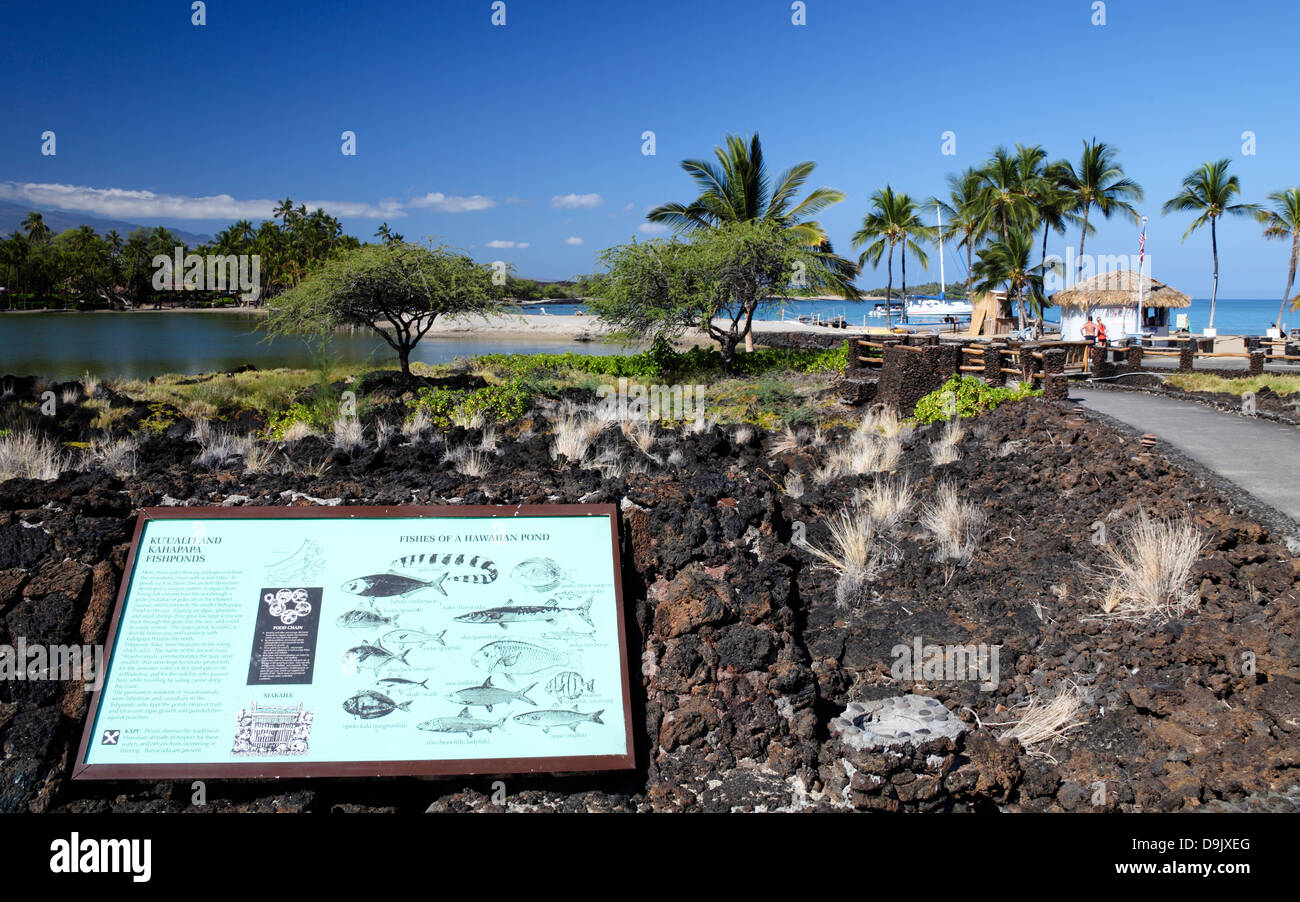 Interpretierende Zeichen beschreibt Fisch in den historischen Fisch-Teich von Anaehoomalu Bay gefunden; Fußweg führt zum Strand und Ocean Sports Stockfoto