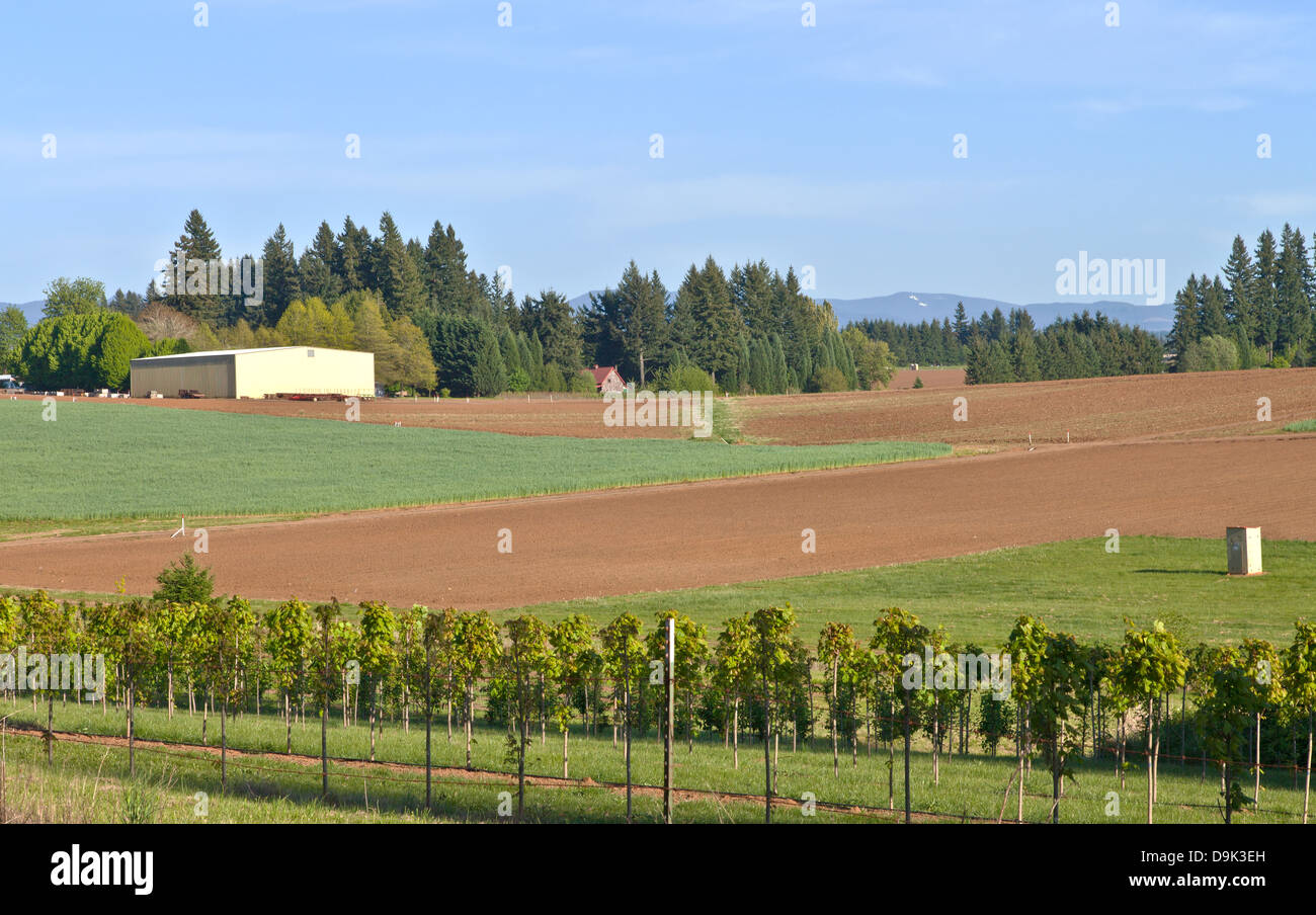 Landwirtschaft und ländliche Oregon Felder. Stockfoto