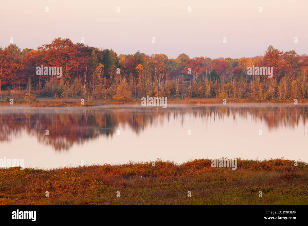 Eine trübe Herbstmorgen in Muskoka, Ontario, Kanada Stockfoto