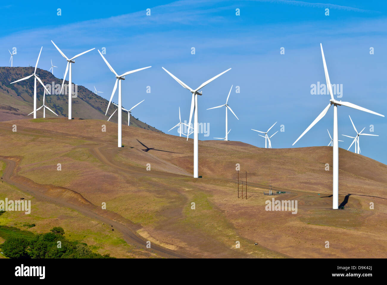 Windkraftanlagen Energie auf einem Hügel in Eastern Washington zu schaffen. Stockfoto