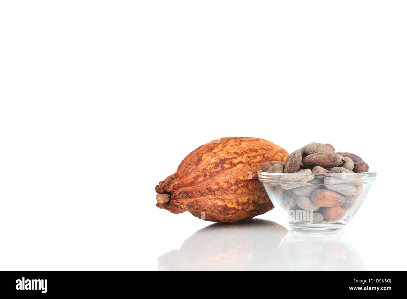 Kakaofrucht mit Kakaobohnen Stockfoto