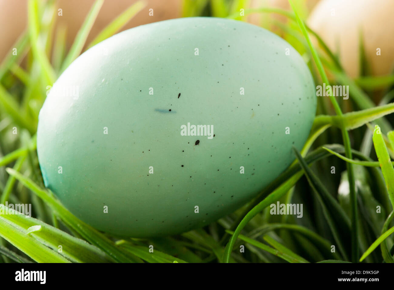 Farbige gefärbte Ostereier bereit für den Frühling Stockfoto