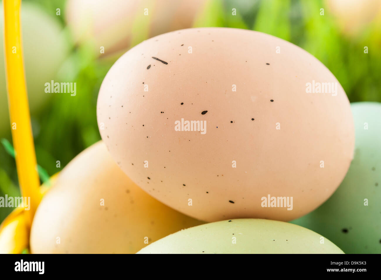 Farbige gefärbte Ostereier bereit für den Frühling Stockfoto