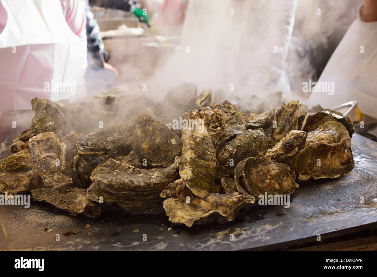 Leckere frische Austern von Matsushima Bay wird Dampf gekocht Stockfoto