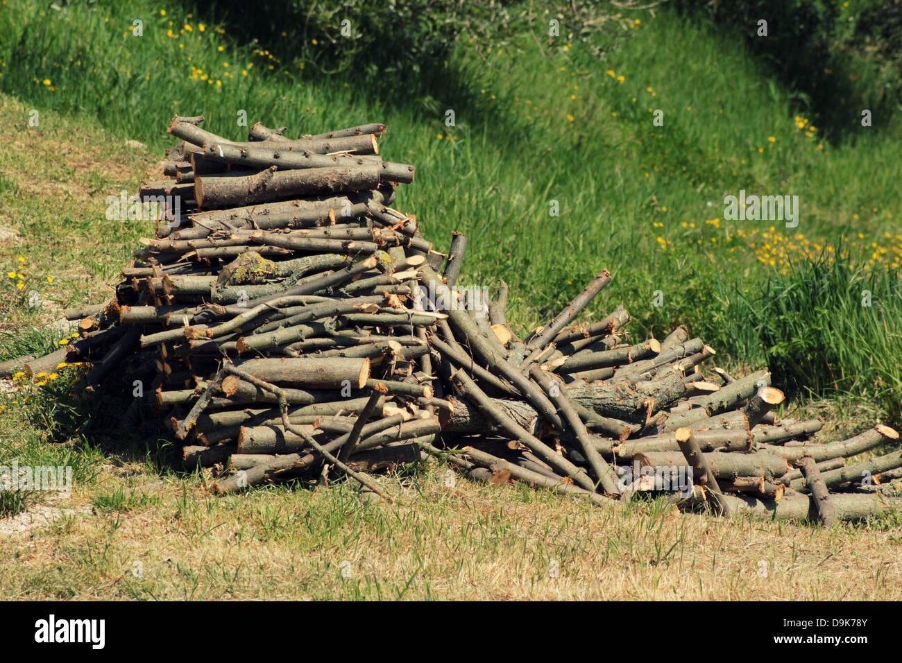 Brennholz gestapelt Stockfoto