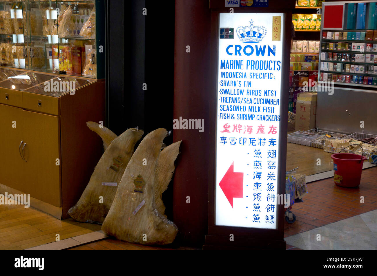 Shark Fin-Shop In Jakarta Flughafen Stockfoto