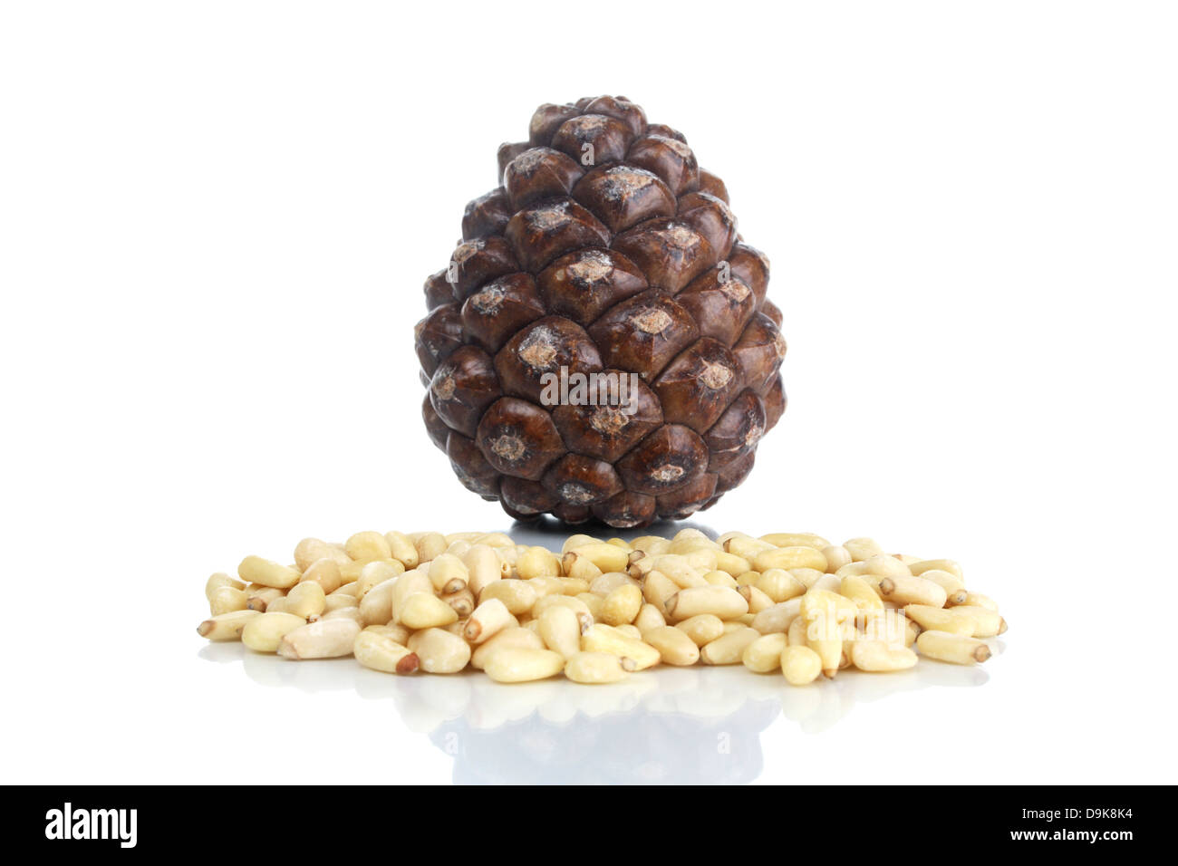 Stecker und Pinien Kernen Stockfoto