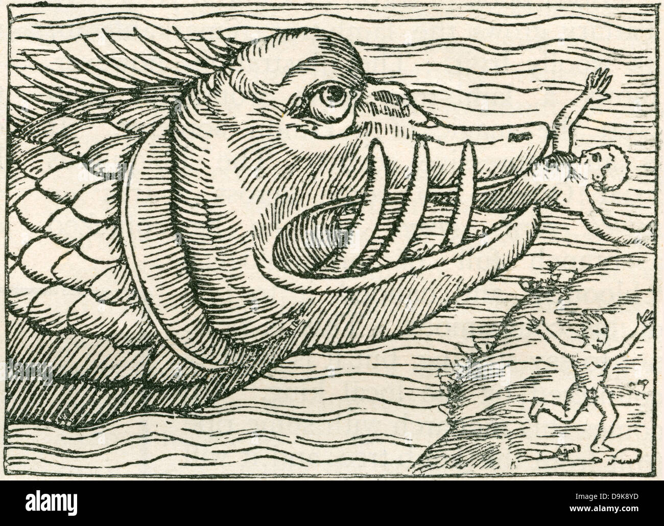 Mann von einer Seeschlange gefressen.  Vom 15. Jahrhundert Karte von Olaus Magnus. Stockfoto
