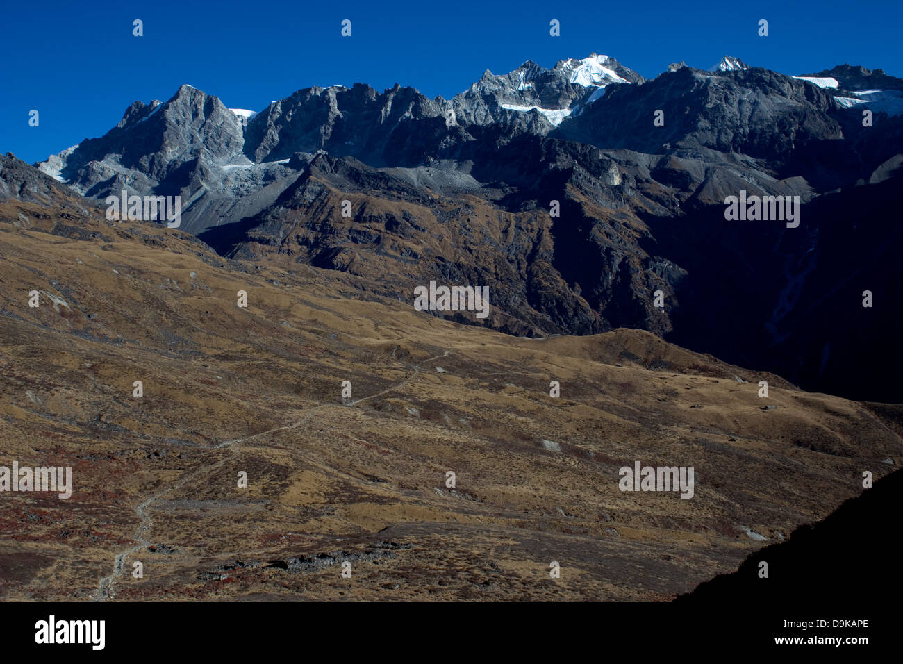 Trekking im Langtang, Nepal, mit Naya Kanga und Ganja La Stockfoto