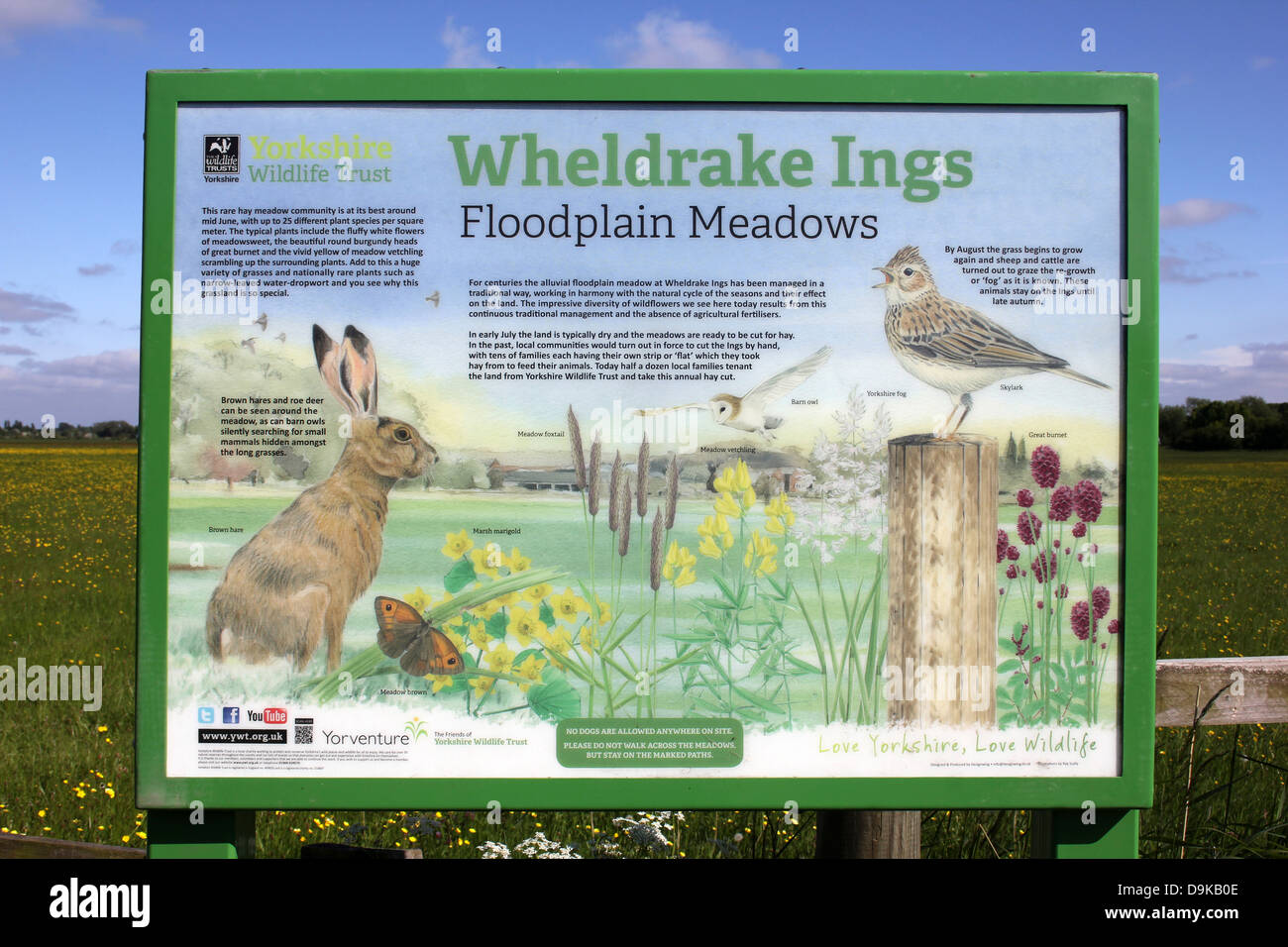 Wheldrake Ings - Yorkshire Wildlife Trust Reserve Aue Wiesen Informationstafel Stockfoto