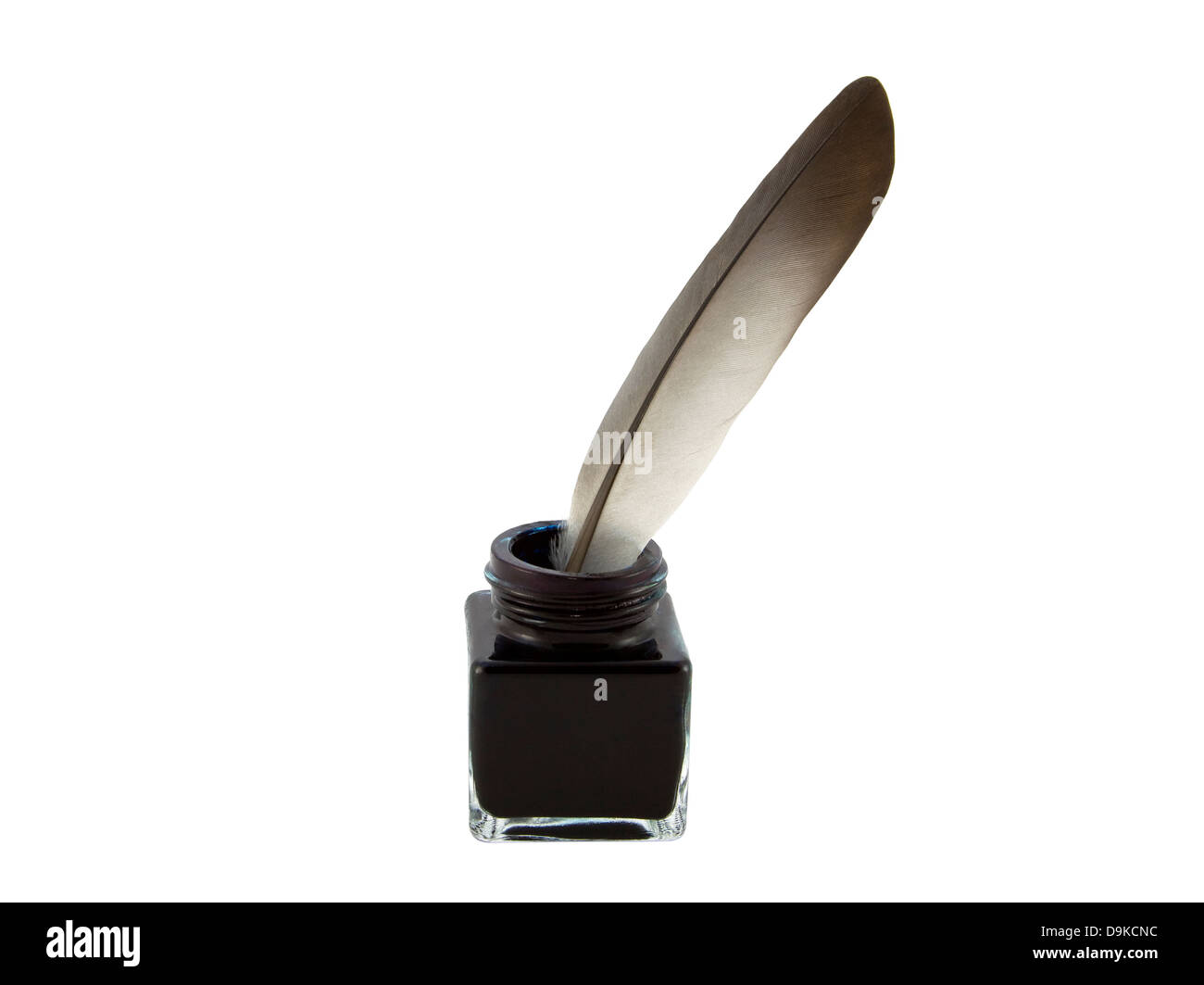 Feder Feder Feder und Tinte mit Beschneidungspfad Stockfoto