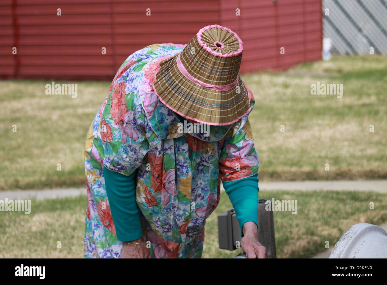 Ältere Frau Blumen in einem Garten gießen.  Senioren in einem Kleid und Tan Strohhut Blumen in einem Garten gießen. Stockfoto