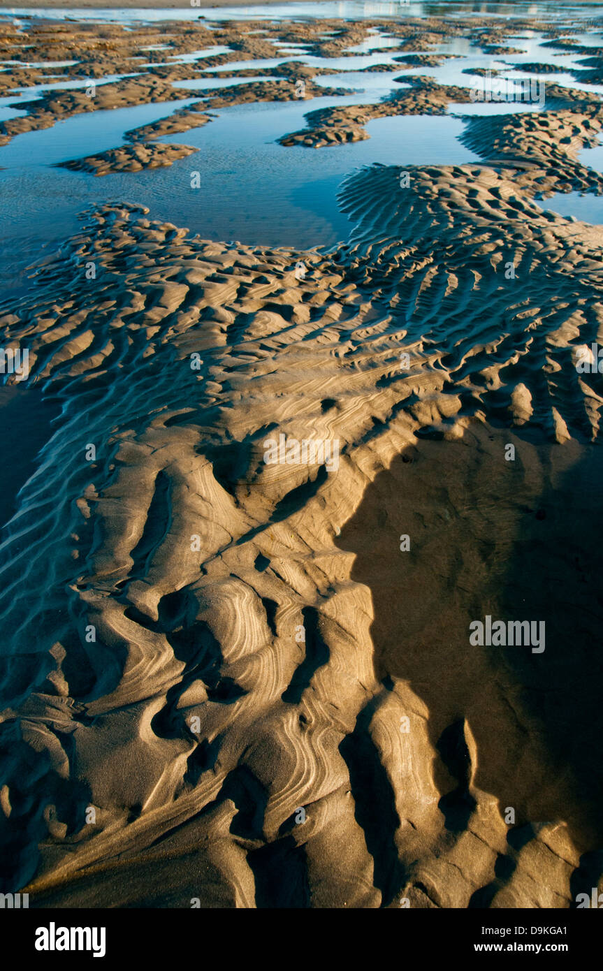 Nahaufnahme von Sand mit Gezeiten-Muster und kleine Gezeitenbecken Stockfoto