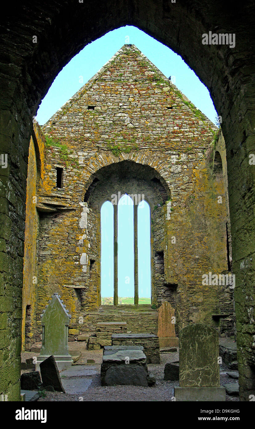 Die Spitzbogenfenster des Kirchenschiffs. Timoleague Friary, County Cork, Irland Stockfoto