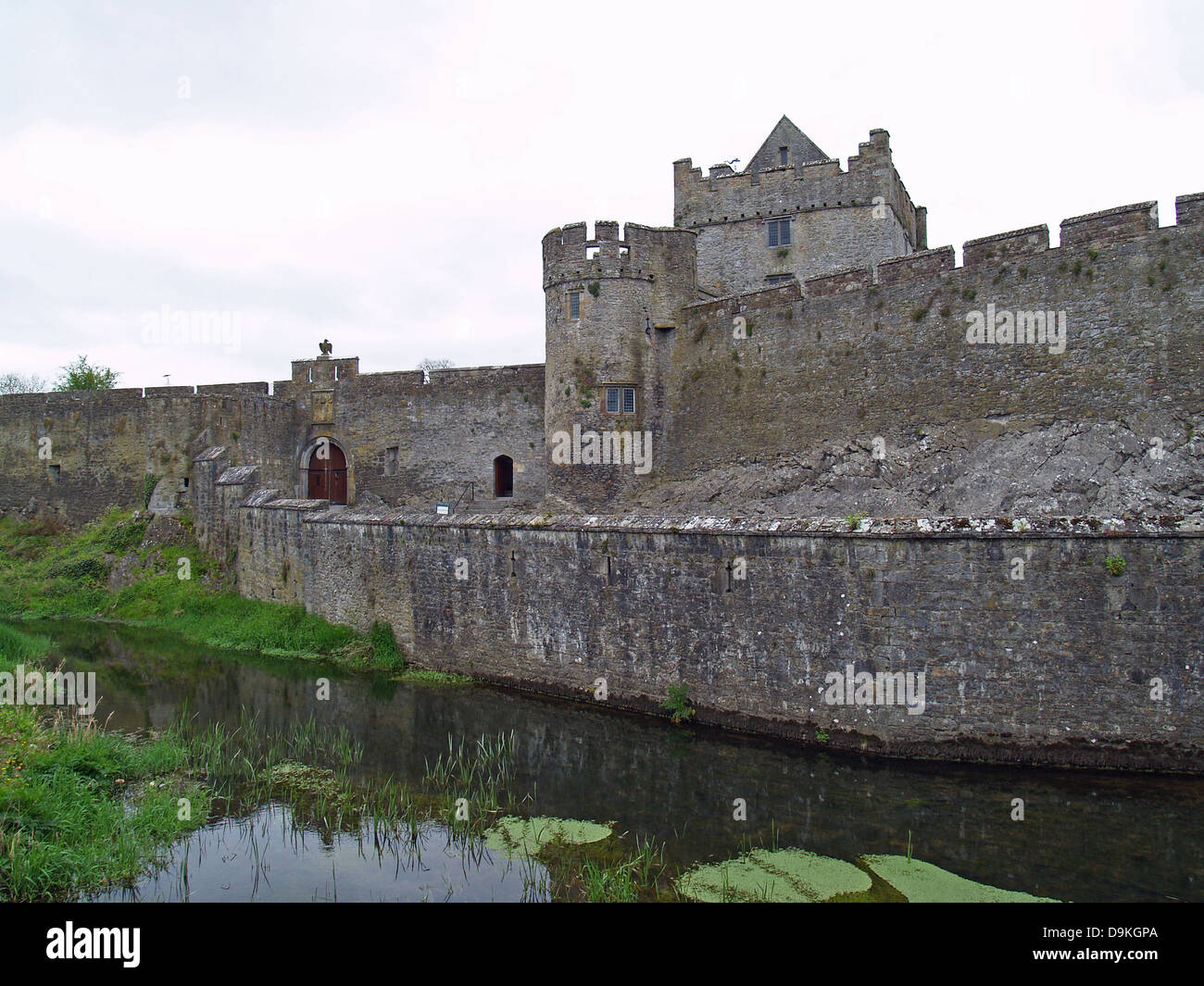 Cahir Castle auf dem Fluss Suir, County Tipperary, Irland Stockfoto