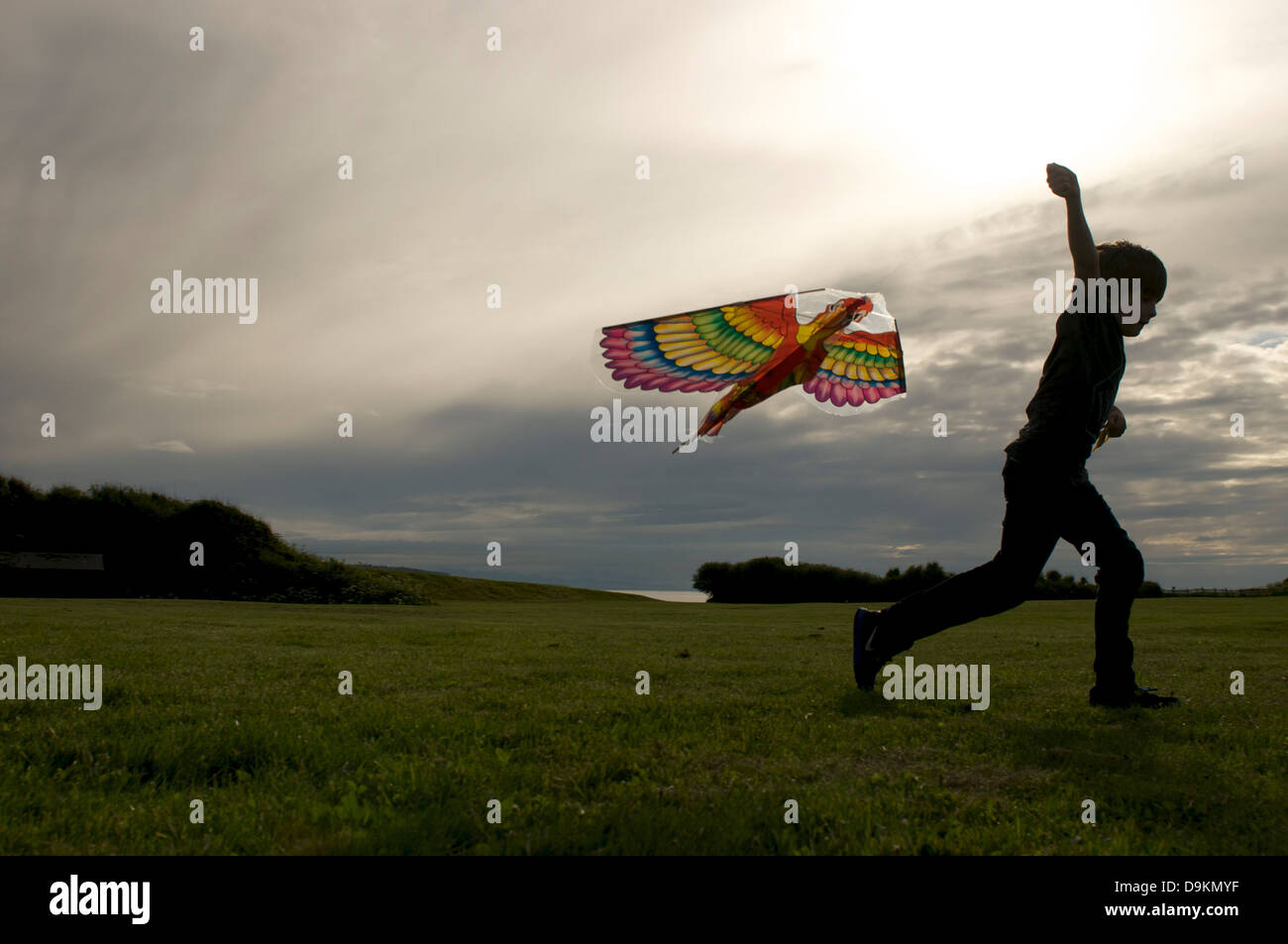 Silhouette des jungen und kite Stockfoto