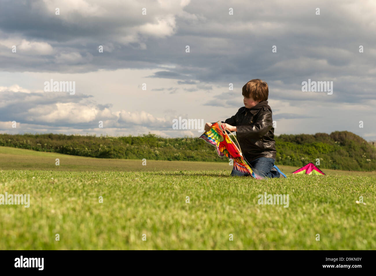 Junge montiert Kite in Wiese Stockfoto