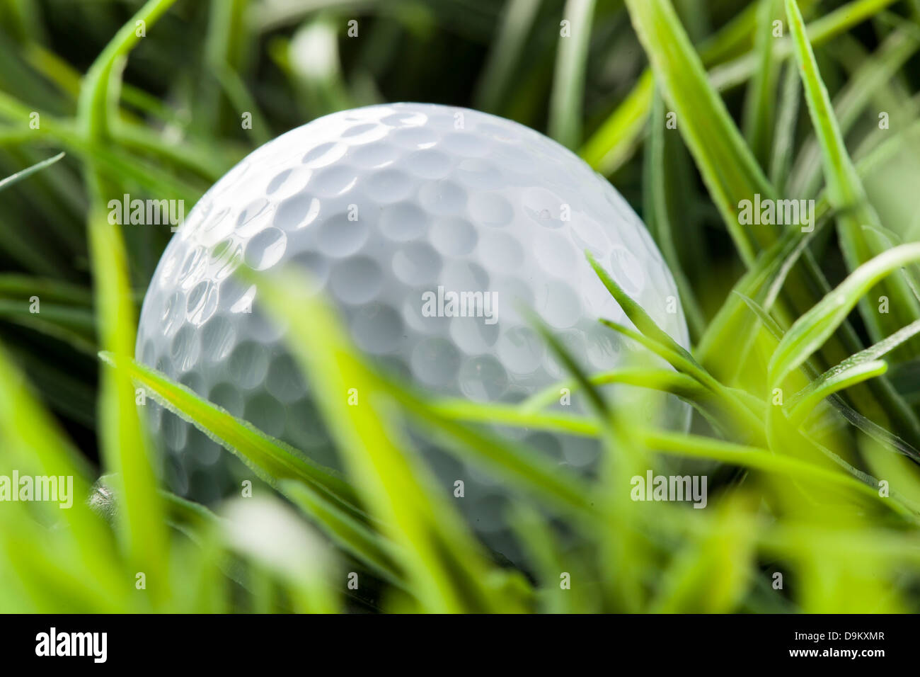 Pure White Golfball auf dem leuchtend grünen Rasen Stockfoto