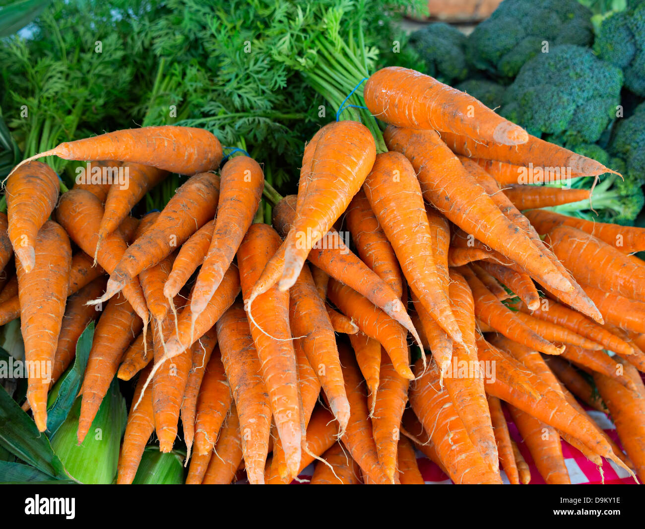 Frisch gepflückt Karotten für Verkauf auf einem Bauernmarkt in Bluffton, South Carolina Stockfoto