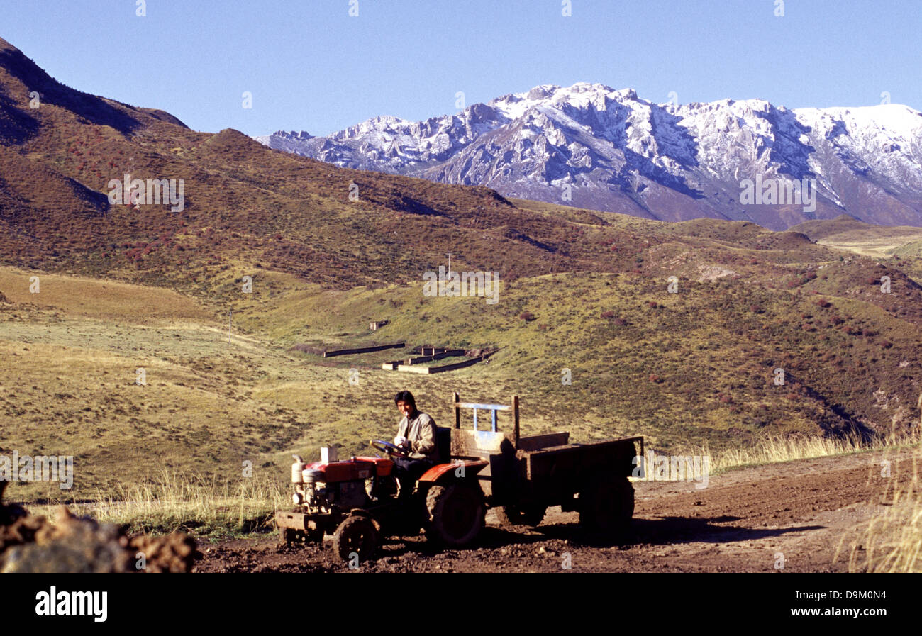 Ein chinesischer Bauer reiten ein Traktor in der Nähe der kleinen Alpenstadt Langmusi am östlichen Rand der Qinghai Plateau, eingebettet in einem Tal zwischen den Provinzen Gansu und Sichuan in China gemeinsam genutzt Stockfoto Ein chinesischer Bauer reiten ein Traktor in der Nähe der kleinen Alpenstadt Langmusi am östlichen Rand der Qinghai Plateau, eingebettet in einem Tal zwischen den Provinzen Gansu und Sichuan in China gemeinsam genutzt Stockfoto
